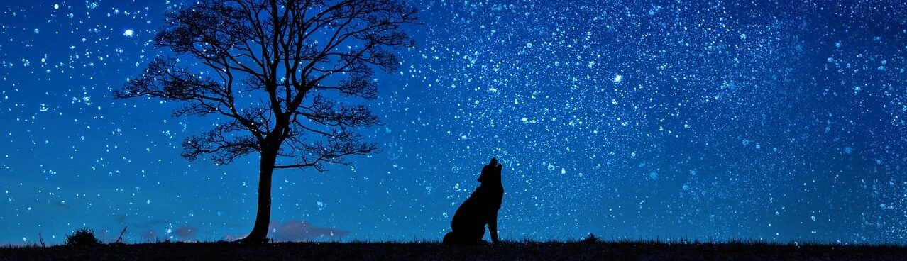 A wolf howling at a full moon in the moonlit sky. A tree stands tall behind wolf.